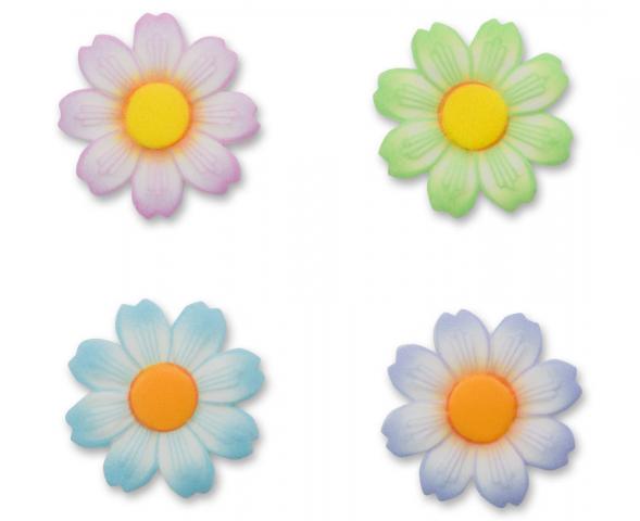 sugarsoft_daisy.jpg